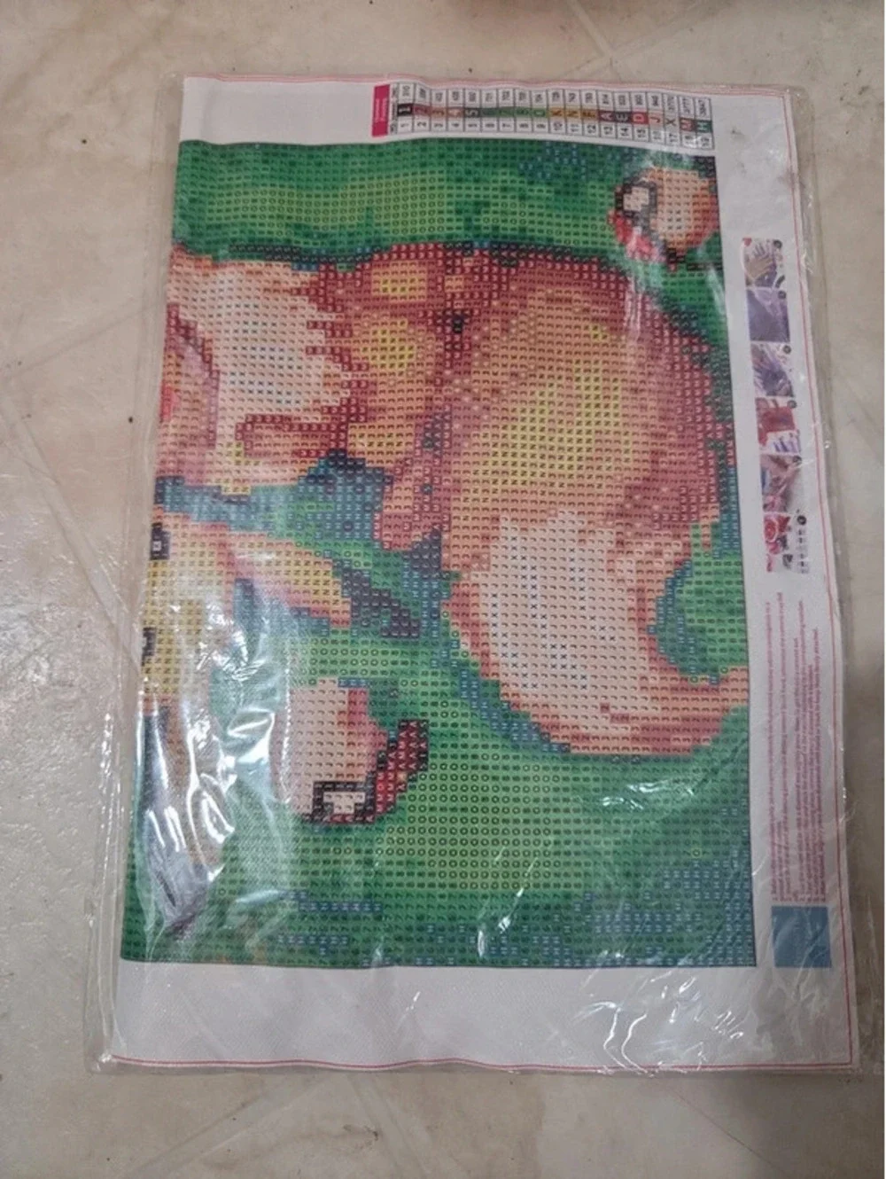 5D diamond art pikachu